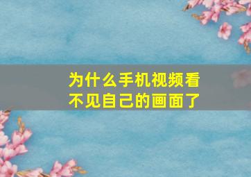 为什么手机视频看不见自己的画面了