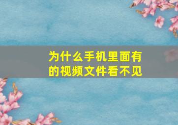 为什么手机里面有的视频文件看不见