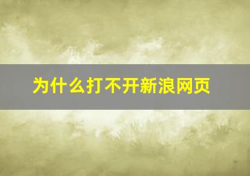 为什么打不开新浪网页