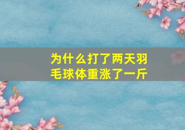 为什么打了两天羽毛球体重涨了一斤