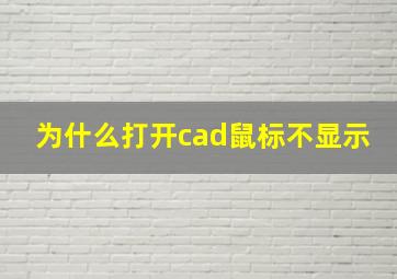 为什么打开cad鼠标不显示