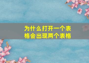 为什么打开一个表格会出现两个表格