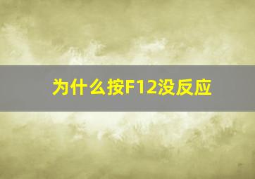 为什么按F12没反应