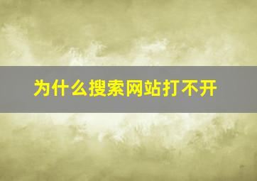 为什么搜索网站打不开