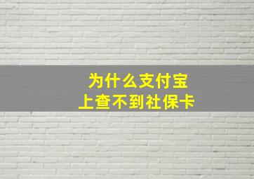 为什么支付宝上查不到社保卡