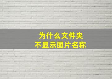 为什么文件夹不显示图片名称