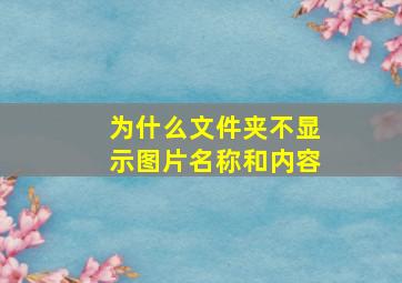 为什么文件夹不显示图片名称和内容