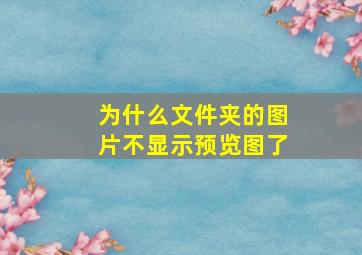 为什么文件夹的图片不显示预览图了