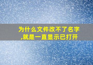 为什么文件改不了名字,就是一直显示已打开