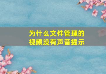 为什么文件管理的视频没有声音提示