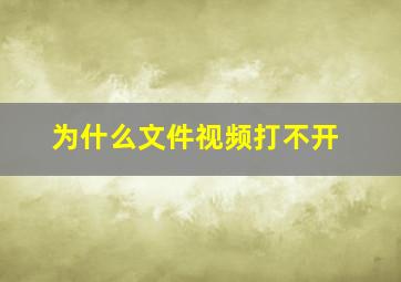 为什么文件视频打不开