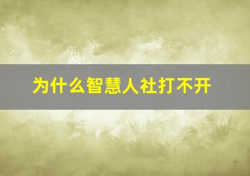 为什么智慧人社打不开