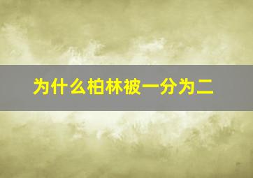 为什么柏林被一分为二