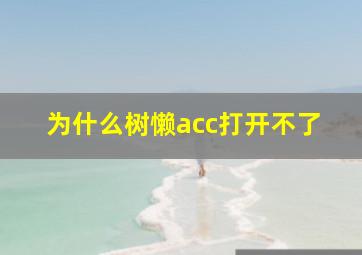 为什么树懒acc打开不了