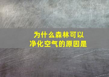 为什么森林可以净化空气的原因是