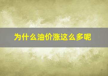 为什么油价涨这么多呢