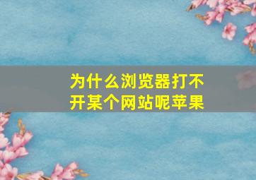 为什么浏览器打不开某个网站呢苹果