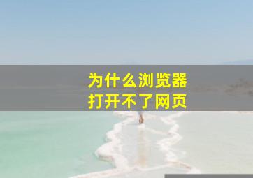 为什么浏览器打开不了网页