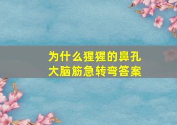 为什么猩猩的鼻孔大脑筋急转弯答案