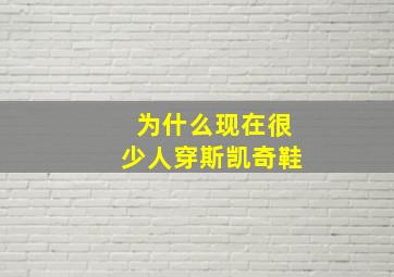 为什么现在很少人穿斯凯奇鞋