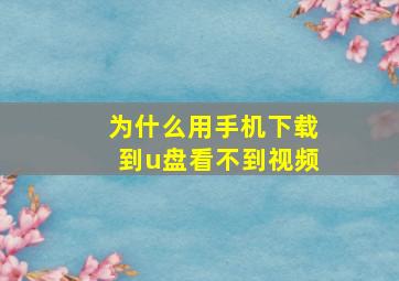 为什么用手机下载到u盘看不到视频