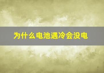 为什么电池遇冷会没电