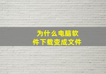 为什么电脑软件下载变成文件