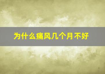 为什么痛风几个月不好