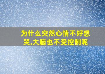 为什么突然心情不好想哭,大脑也不受控制呢