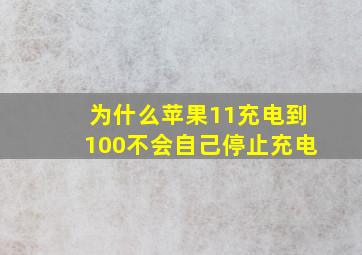 为什么苹果11充电到100不会自己停止充电