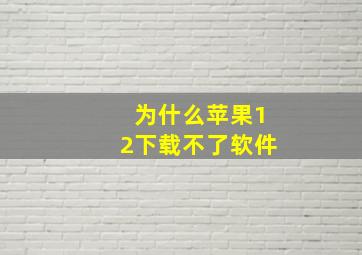 为什么苹果12下载不了软件