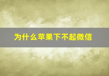 为什么苹果下不起微信