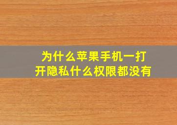 为什么苹果手机一打开隐私什么权限都没有