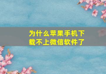 为什么苹果手机下载不上微信软件了