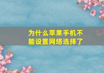 为什么苹果手机不能设置网络选择了