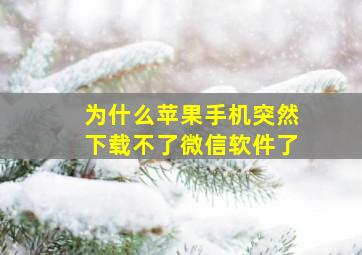 为什么苹果手机突然下载不了微信软件了