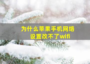 为什么苹果手机网络设置改不了wifi