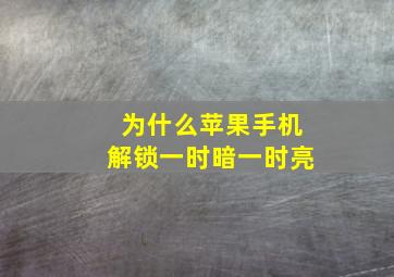 为什么苹果手机解锁一时暗一时亮