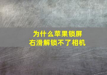 为什么苹果锁屏右滑解锁不了相机