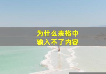 为什么表格中输入不了内容