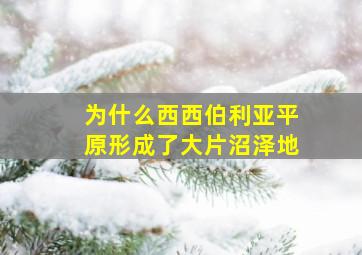 为什么西西伯利亚平原形成了大片沼泽地