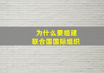 为什么要组建联合国国际组织