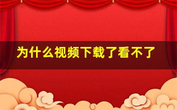 为什么视频下载了看不了