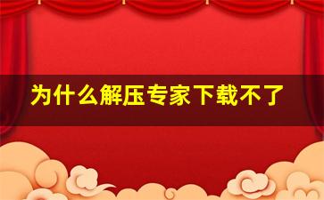 为什么解压专家下载不了