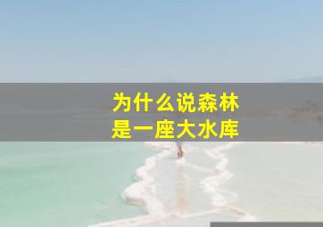 为什么说森林是一座大水库