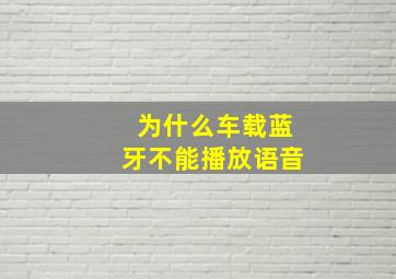 为什么车载蓝牙不能播放语音