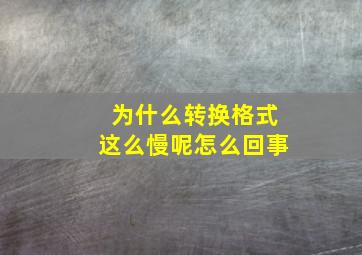 为什么转换格式这么慢呢怎么回事