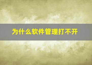 为什么软件管理打不开