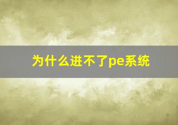 为什么进不了pe系统