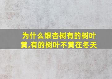 为什么银杏树有的树叶黄,有的树叶不黄在冬天